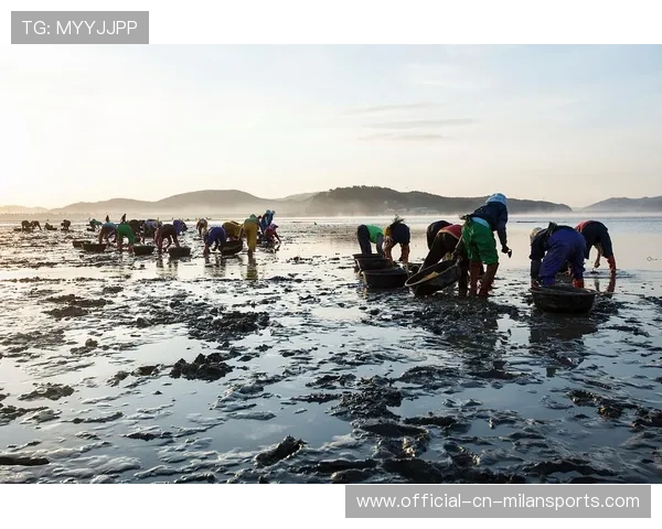 惠州台风后海洋生物活跃，海鲜资源丰富，惠州的台风要什么时候来什么时候走